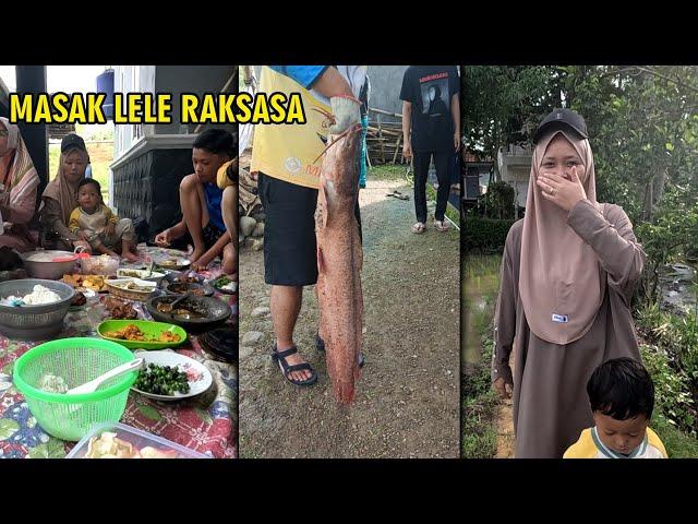 MANCING LELE RAKSASA, MASAK DAN MAKAN BESAR DI KAMPUNG TENGAH SAWAH