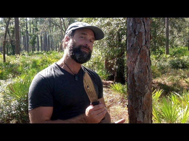 Survival 101: Making Food from Pine Trees