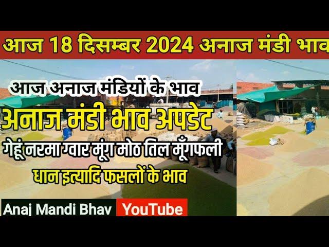 अनाज मंडी भाव| 18 दिसम्बर 2024 गेहूं नरमा ग्वार मूंग धान मूँगफली के भाव| जानें सभी फसलों के ताजा भाव