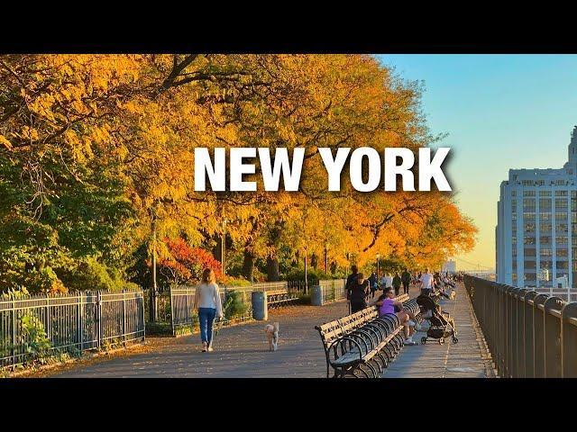 New York City LIVE Manhattan on Thursday (October 24, 2024)