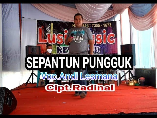 LAGU DAERAH JAMBI SEPANTUN PUNGGUK - VOC.ANDI LESMANA - CIPT.RADINAL - PLAYER WARID LBR