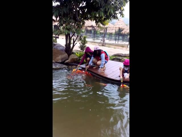 Feeding fish with milk bottle