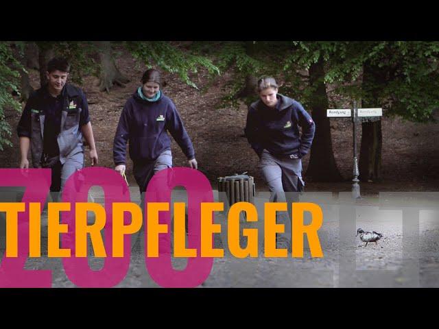 Tierpfleger - Zoo