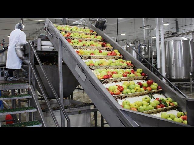 How Fruit Juice Made in Factory. Modern Fruit Juice Production Factory - Juice Processing