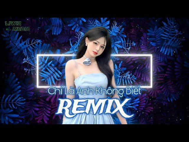 Chỉ Là Anh Không Biết Remix | Vết Son Đôi Môi Em Trên Áo Anh Vẫn.. - Nhạc Hot Tiktok. Liwiz Media