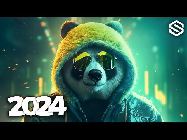 Music Mix 2024  EDM Remixes Of Popular Songs  Best EDM Music Mix #061