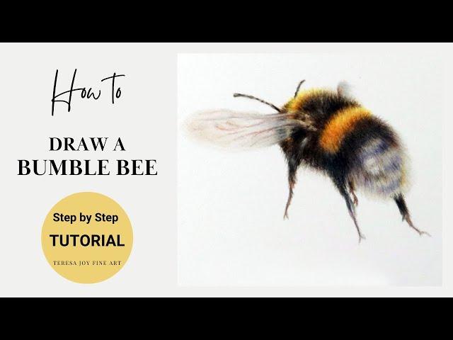 Drawing a Bumble Bee (Simple Coloured Pencil Tutorial) #coloredpencil