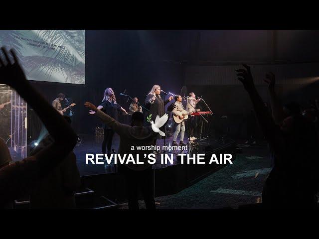 Revival's In The Air ️ - Tehillah Worship | A Moment in Worship