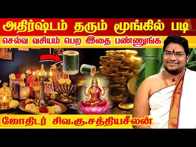 மூங்கில் படி செல்வ ரகசியம் - MONEY ATTRACTION TIPS- BAMBOO TREE செல்வ வசியம் தரும் மரம் | Vastu Tree