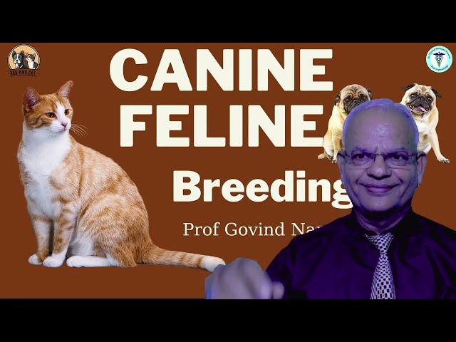 Canine and Feline Reproduction | Essential Guide by GNP Sir