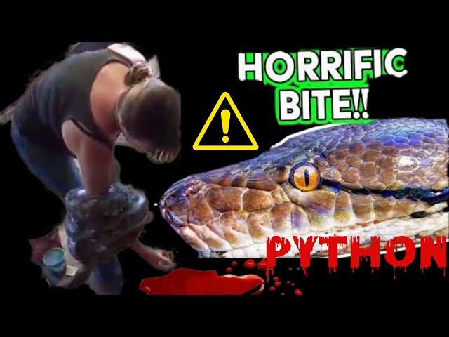 Giant Python Snake Bites And Wraps (Woman Owner) Handlers Arm Snake-Animal Attacks Caught In Camera