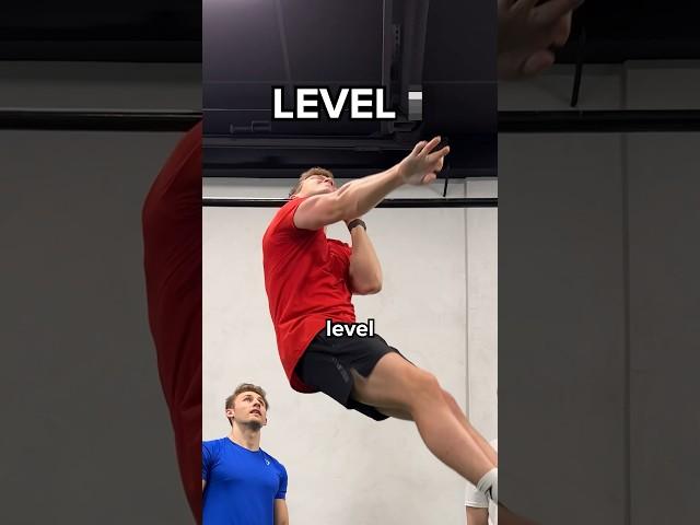 Level 1 to 100 Calisthenics!