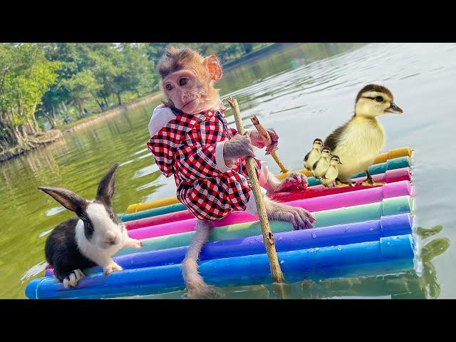 Monkey baby BonBO rescue RABBIT MOM Traditional boat With Hook By River Cute Animals Islands EVER?!