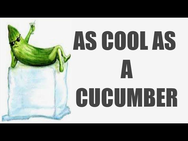 As cool as a cucumber