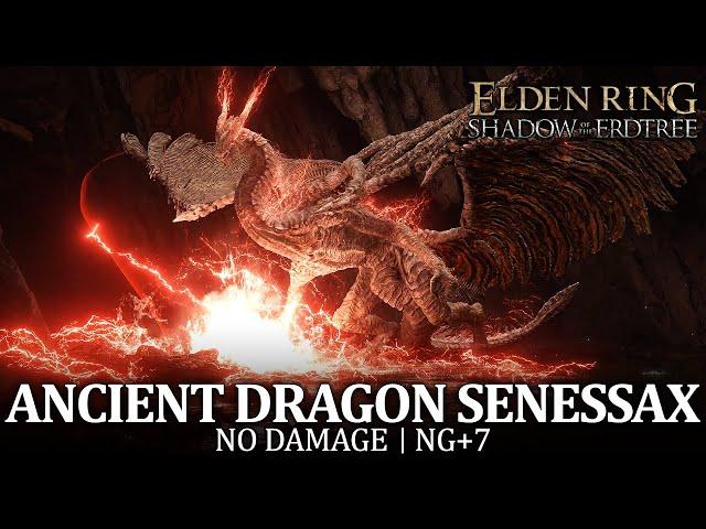 Ancient Dragon Senessax Boss Fight (No Damage / NG+7) [Elden Ring DLC]