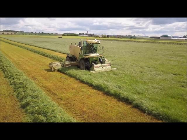 Gras mähen Alerheim - Krone BiG M 420