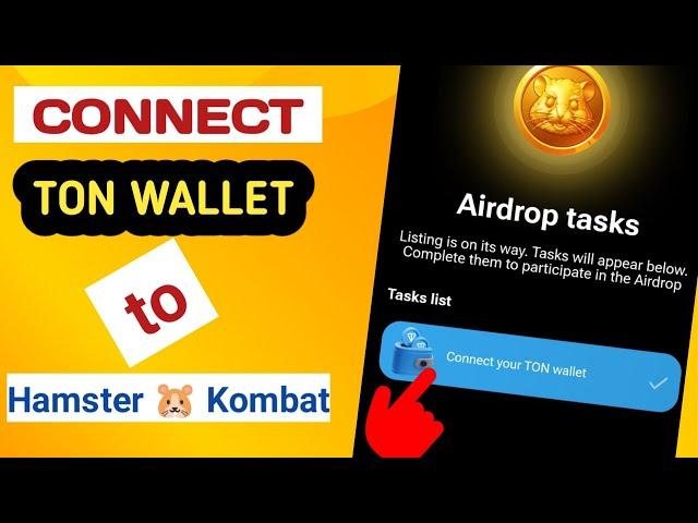 How to connect hamster kombat to your Ton wallet in 2 Minutes / hamster wallet connect problem