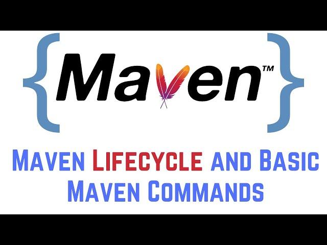 Maven Lifecycle and Basic Maven Commands