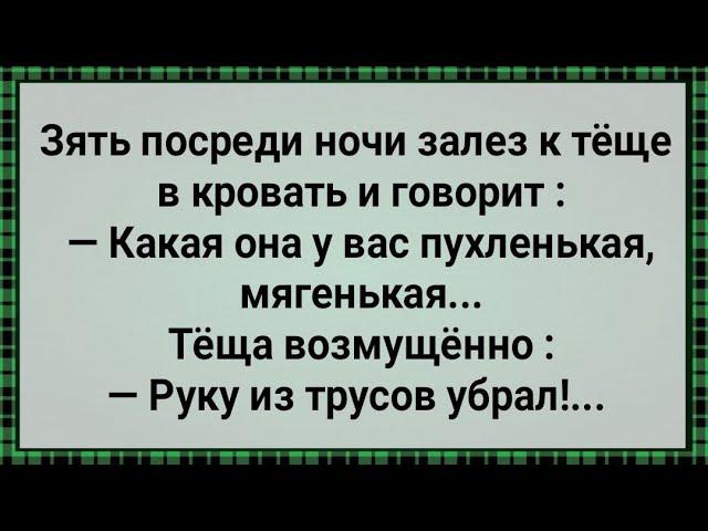 Как Зять Залез Теще в Трусы! Сборник Свежих Анекдотов! Юмор!