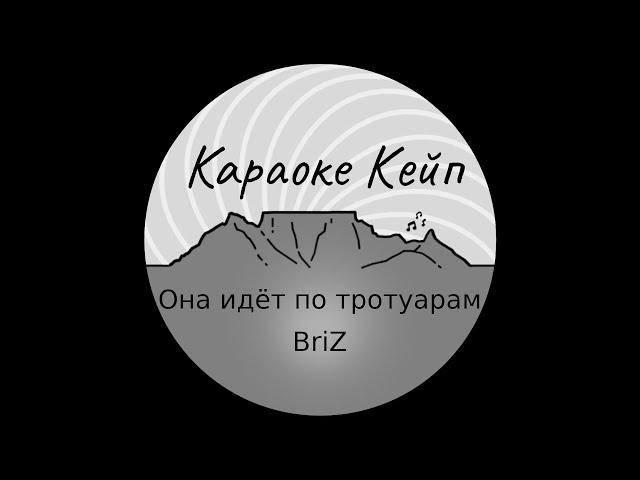 Она идёт по тротуарам - BriZ (Караоке)