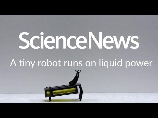 A tiny robot runs on liquid power | Science News