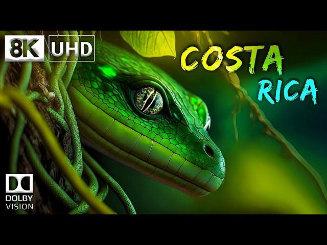 COSTA RICA  8K Video Ultra HD 60FPS Dolby Vision | Costa Rica 8K HDR | 8K TV