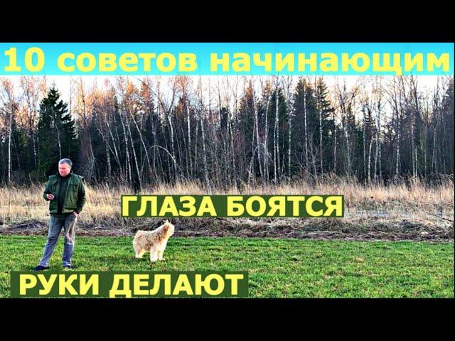 Освоение НОВОГО УЧАСТКА 10 добрых СОВЕТОВ