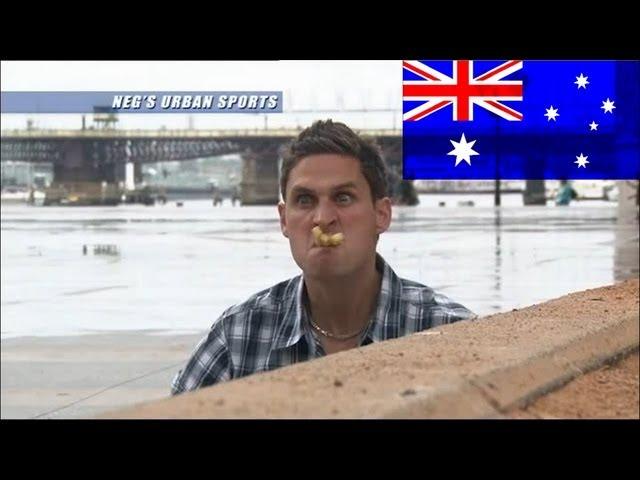 Neg's Seagulling 2.0 - Balls of Steel Australia