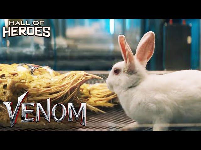 Carlton Drake Performs A Lab Test On Symbiote | Venom | Hall Of Heroes