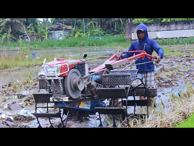 Mesin Baru..!!Traktor Sawah Diesel Kubota Menjajal Mesin Baru Untuk Membajak Sawah