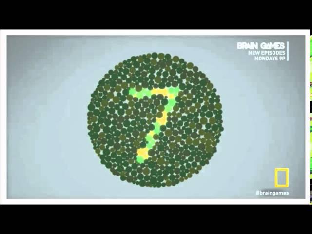 Brain Games- Color Blindness and Gestalt Similarity