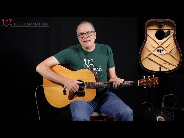 L.R. Baggs HiFi Duet Demo from Peghead Nation