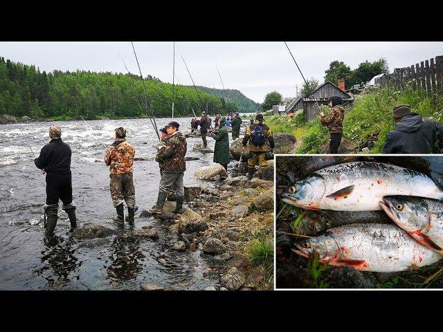 УДАЧНАЯ  РЫБАЛКА НА ГОРБУШУ   /SUCCESSFUL FISHING FOR SALMON