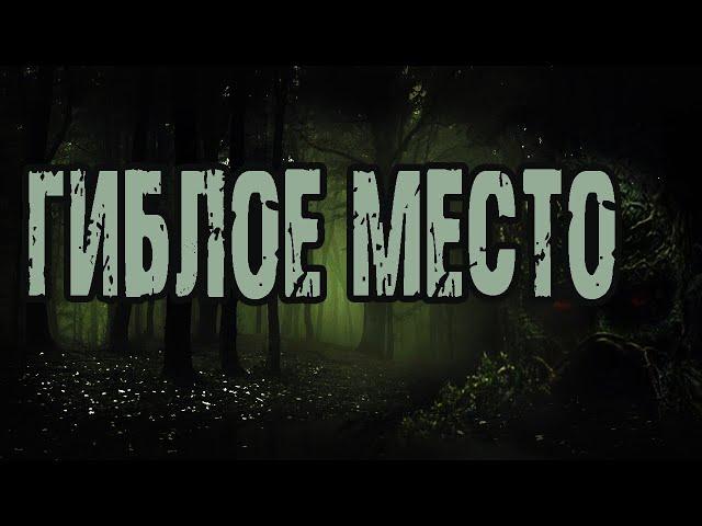 Страшные истории про лес. "Гиблое место" - А.Грибанов. Мистические рассказы. Ужасы. Мистика