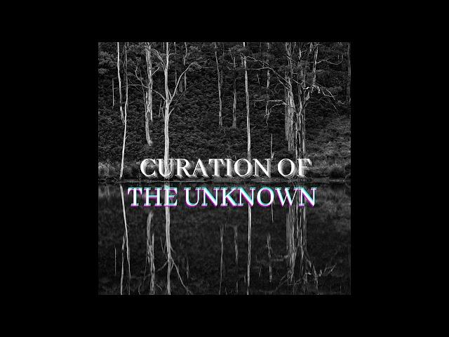 "CURATION OF THE UNKNOWN" AMBIENT LO FI INSTRUMENTAL [PROD. PROFIT]