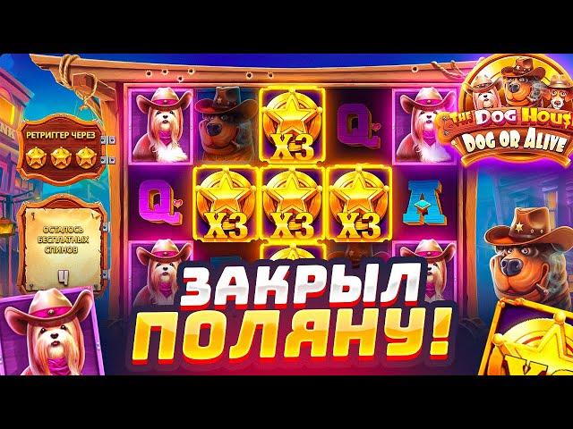 ЗАКРЫЛ ПОЛЯНУ В THE DOG HOUSE DOG OR ALIVE И МОЩНО ЗАНЁС / ЭТО БЫЛ ЛЕГЕНДАРНЫЙ КАМБЭК! ЗАНОСЫ НЕДЕЛИ