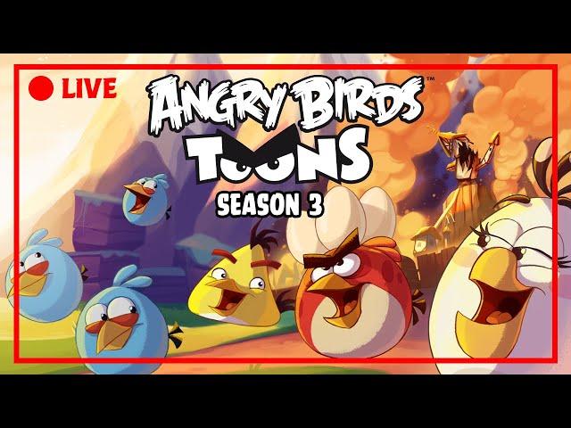  LIVE Angry Birds Party | Toons Season 3 All Episodes