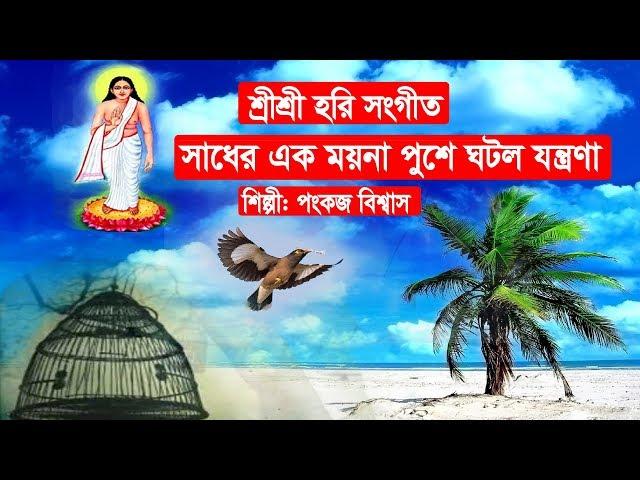 সাধের এক ময়না পুশে ঘটল যন্ত্রনা || পংকজ বিশ্বাস || তুলসী গোসাই চ্যানেল