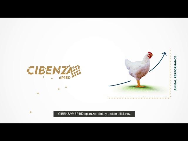 CIBENZA® EP150 Feed Additive of Protease