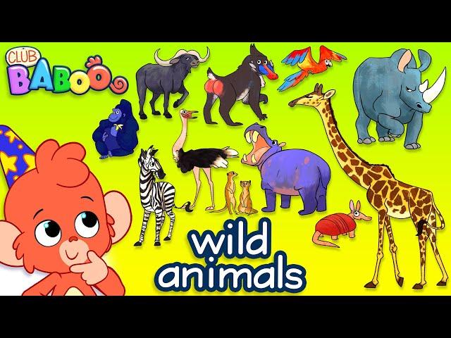 Learn Wild Animals For Kids | Wild Zoo Animals Names and Sounds for Children | Club Baboo