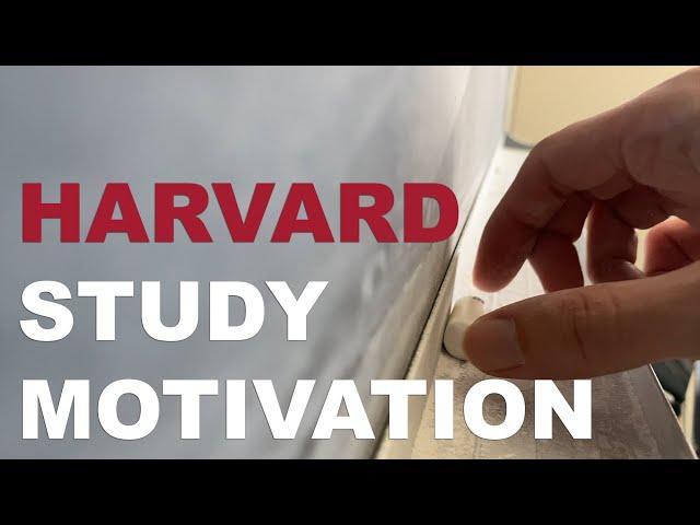 Fear is Good | Harvard Study Motivation