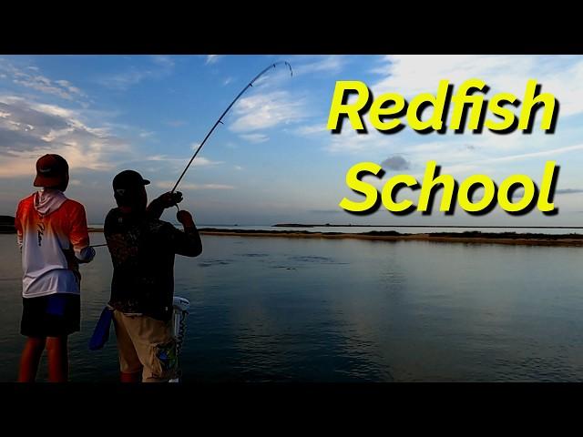 Redfish School Hook Up. Trout & Drum Live Shrimp
