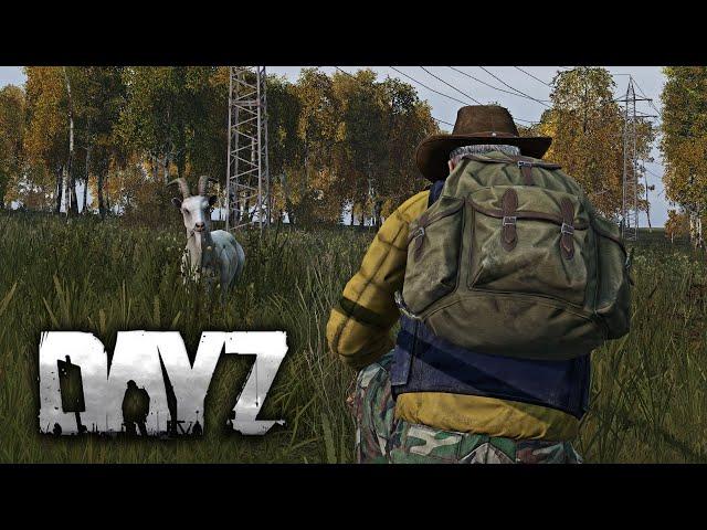 Не зря я догонял эту козу, ой не зря - DayZ 1.11