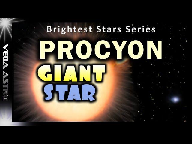 ⭐An In-Depth Look at PROCYON a&b