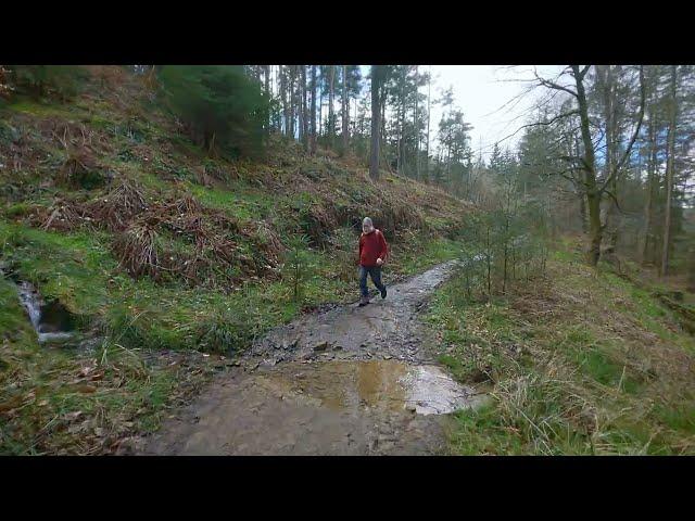 PEAK DISTRICT WOODLAND TRAIL WALK - 4K Forest Trail Walk in the Peak District UK