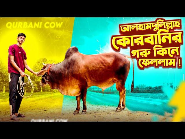 আলহামদুলিল্লাহ গরু কিনে ফেললাম | গরু কিনে ফেললাম | sohan chowdhury official