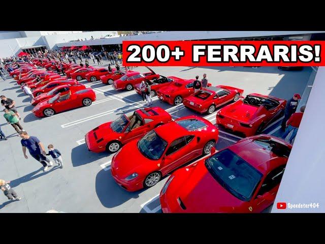 LARGEST Ferrari Gathering Ever! Enzo, F40, SF90, 250 SWB, Monza SP2, F430 Scuderia, 360 CS, 599 GTO