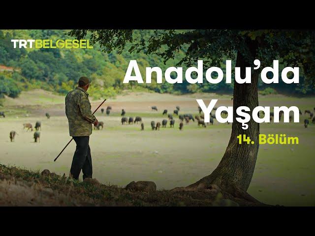 Anadolu'da Yaşam | Marmara Bölgesi | TRT Belgesel