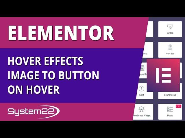 Elementor Hover Effects Image To Button On Hover 