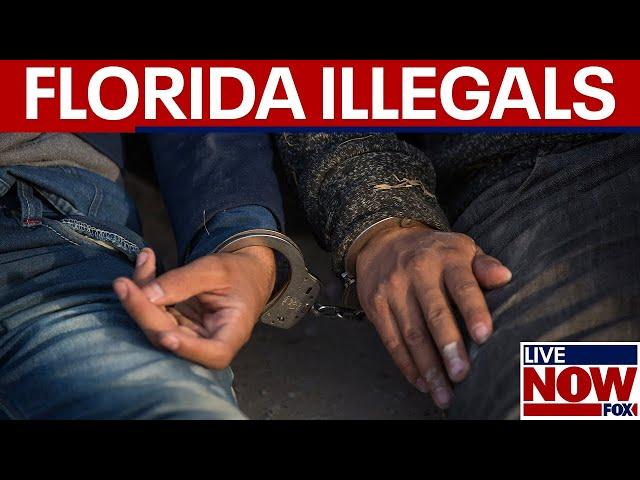 Florida strengthens illegal immigration laws | LiveNOW from FOX